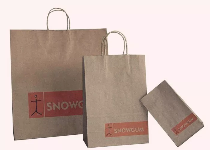 Custom Printing Brown Kraft Paper Shopping Bags For Advertising Eco – Friendly