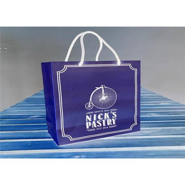 Food Package Bags Silk Color Printing Coated Paper Gift Bags