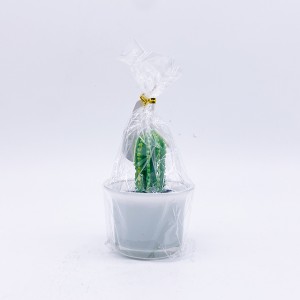 E64 Natural soy wax to make cactus shape craft candle for