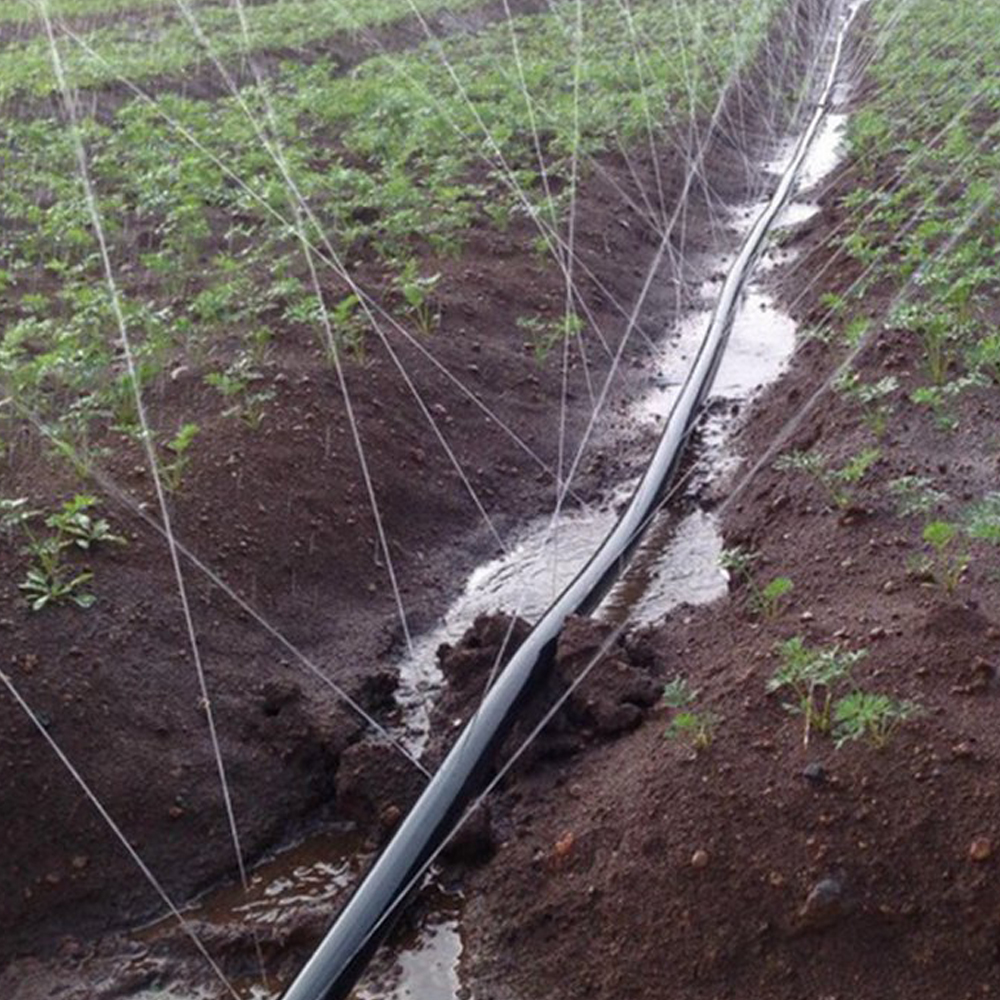 100% PE Drip Tape Irrigation for Vegetable