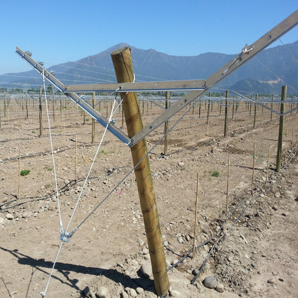 2.5m galvanized 275g/square mm vineyard post/ grape stake/ grape post
