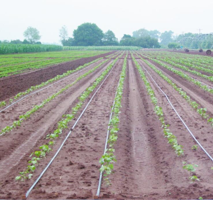 Agricultural Drip Irrigation Tape
