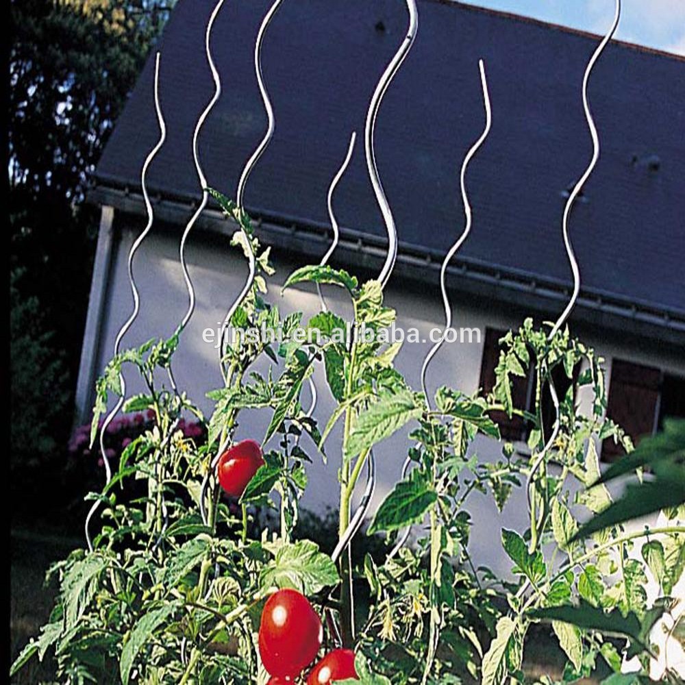 plastic coated Tomato Growing support Steel Spiral Wire Stakes