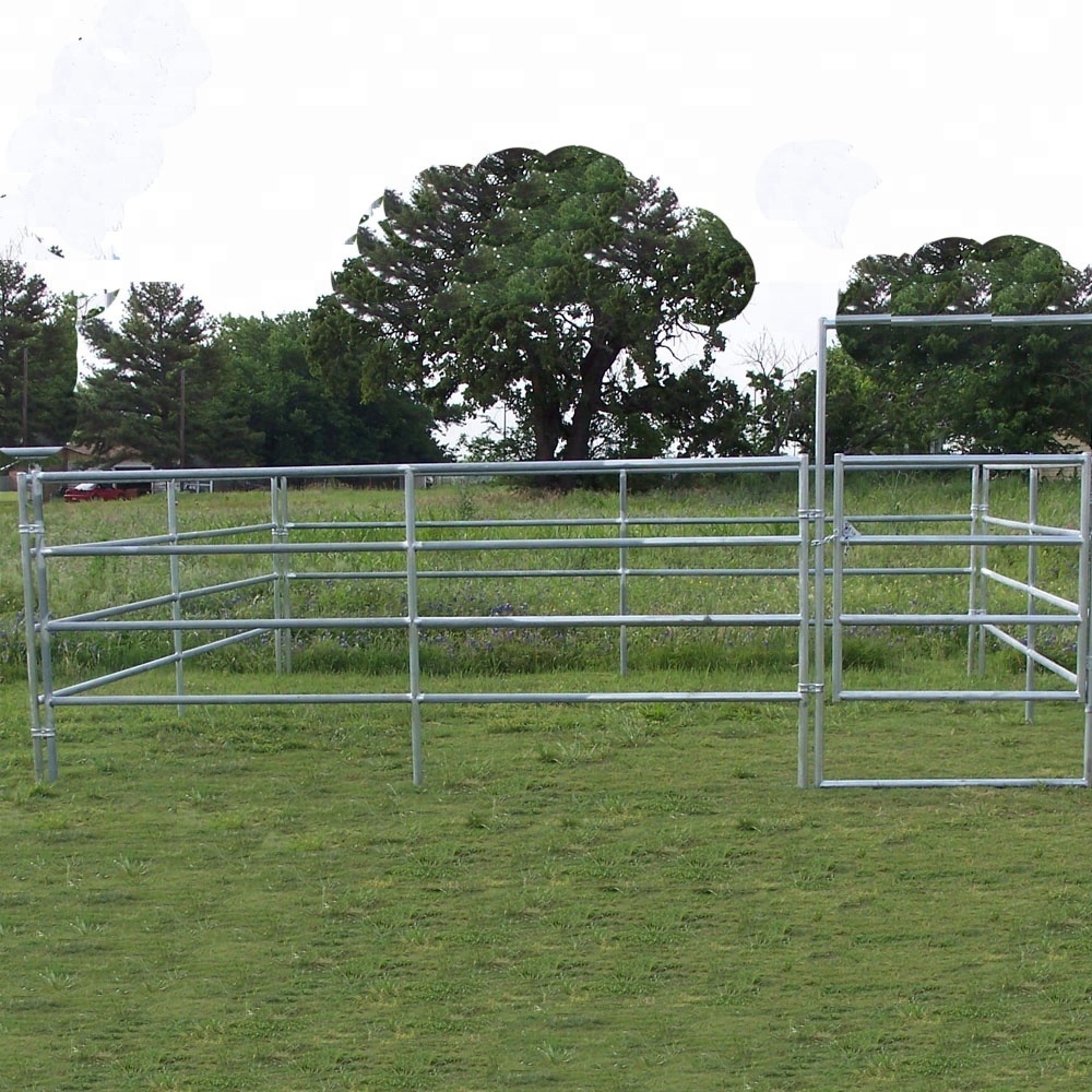 Steel Horses Fence and Panel for Cattle