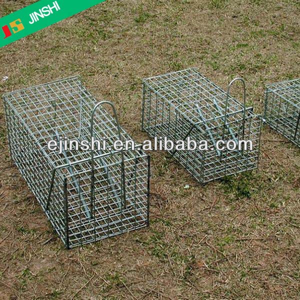 36"x10"x12" Galvanized Collapsible Live Raccoon Trap, Professional Factory