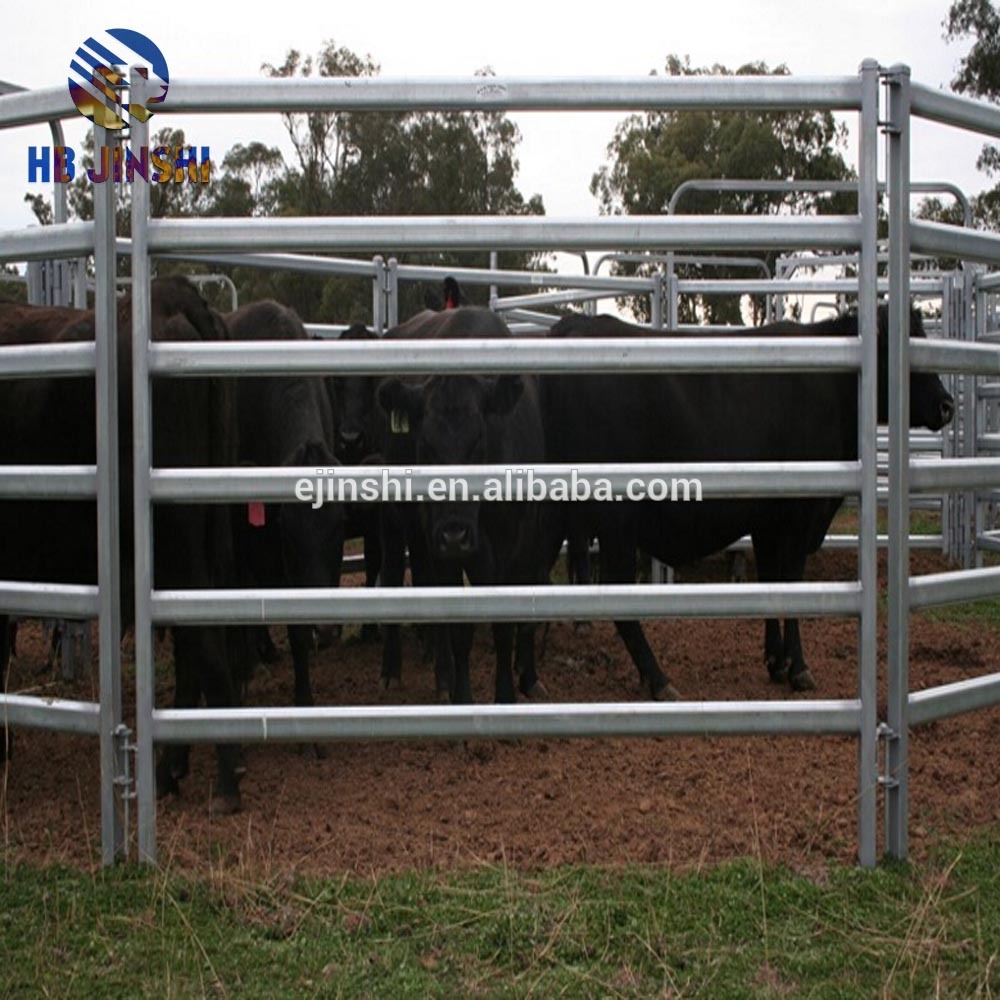 Hot Sales galvanized Cattle panels yard live stock yard