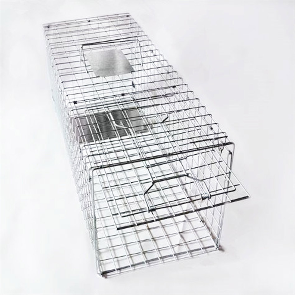 Galvanized Collapsible Wild Cat Raccoon Wire Cage Trap
