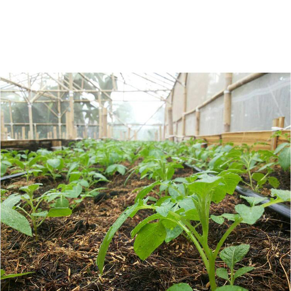 16mm Diameter PE Agricultural Drip Irrigation Pipes for Vegetables