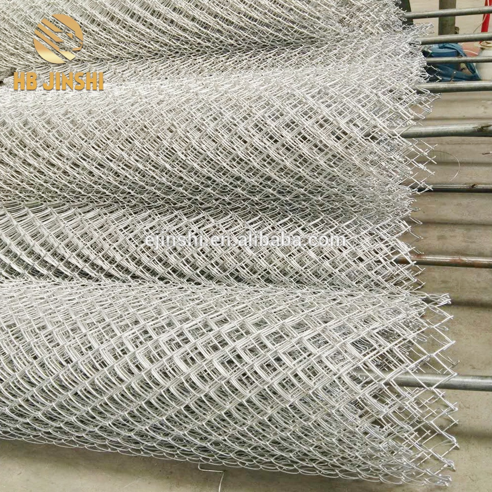Strong quality Galvanized Chain link netting