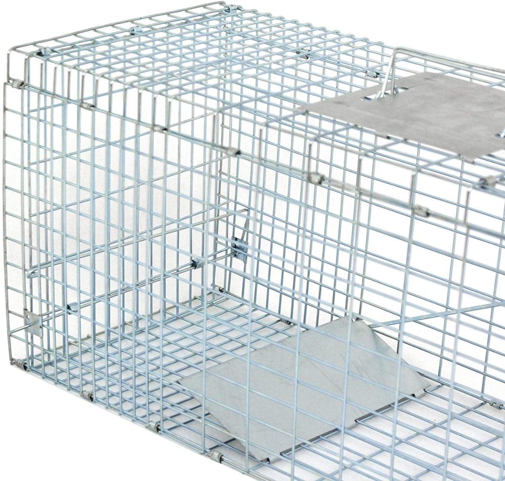 80X28X33cm galvanized Collapsible Humane Animal Trap cage