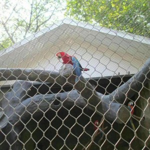 Zoo Fence Net