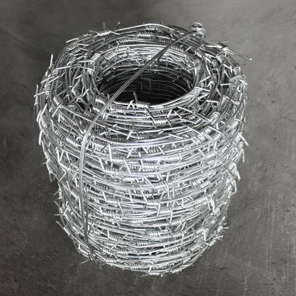 Barbed Wire რჩეული