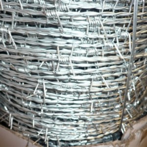 Бодликава жица
