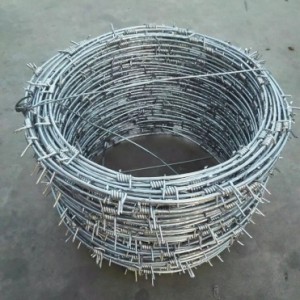 OEM/ODM Factory Perforated Steel Sheet - Barbed Wire – Yezhen