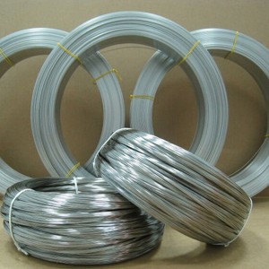OEM China Gabion Basket - Iron Wire – Yezhen