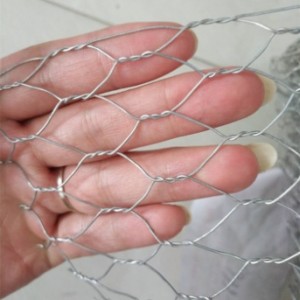 Galvanis PVC dilapisi Hexagonal wire mesh