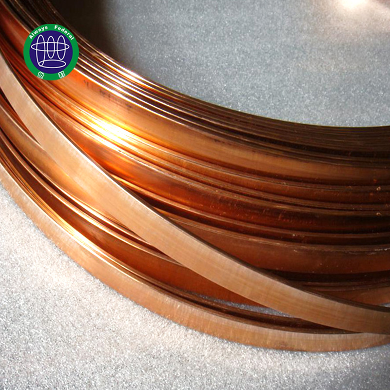 Copper Clad Steel Flat