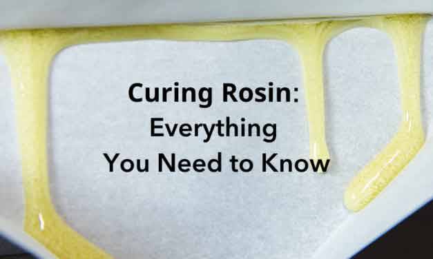 CURING ROSIN: EVERYTHING YOU NEED TO KNOW