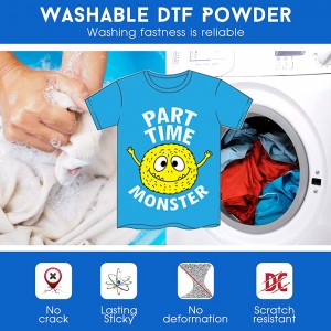 DTF Powder Digital Transfer Hot Melt Adhesive DTG PreTreat Powder for Direct Print on T-Shirts