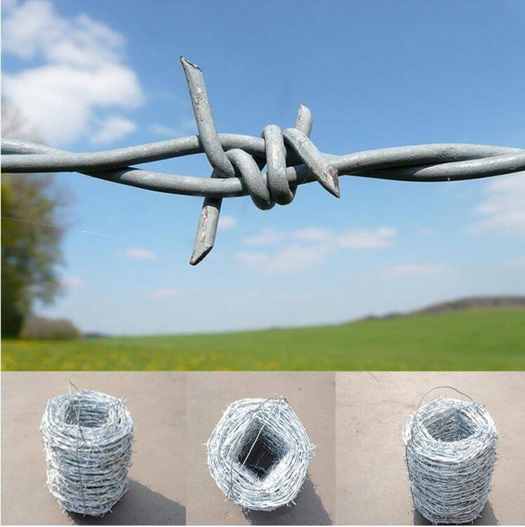 barbed wire xinhai-0005