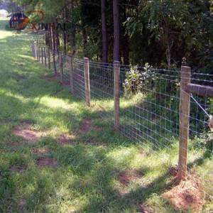Field fence/cattle fence