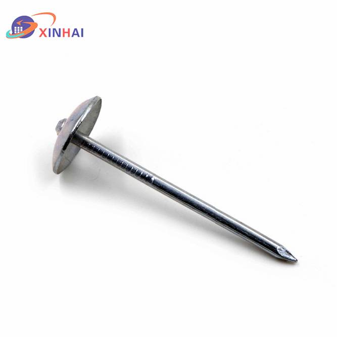 Best-Selling Security Fence And Construction -
 roofing nails – Xinhai