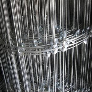 OEM/ODM Factory Diy Outdoor Fence -
 Galvanized Livestock Prevent Hinge Joint Page Wire Farm Field Fence  – Xinhai