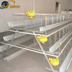 XINHAI A 120 layer chicken cage for Africa Market