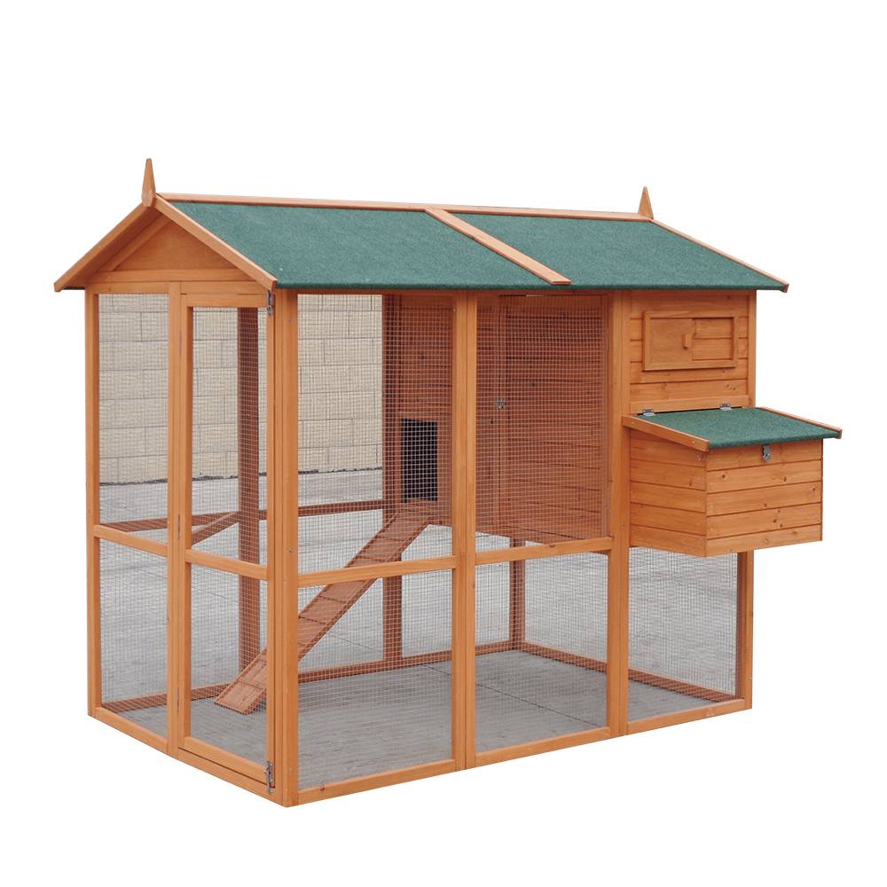 P512 Weather-Proof Chicken Coop Wth Storage And Large Space Featured Image