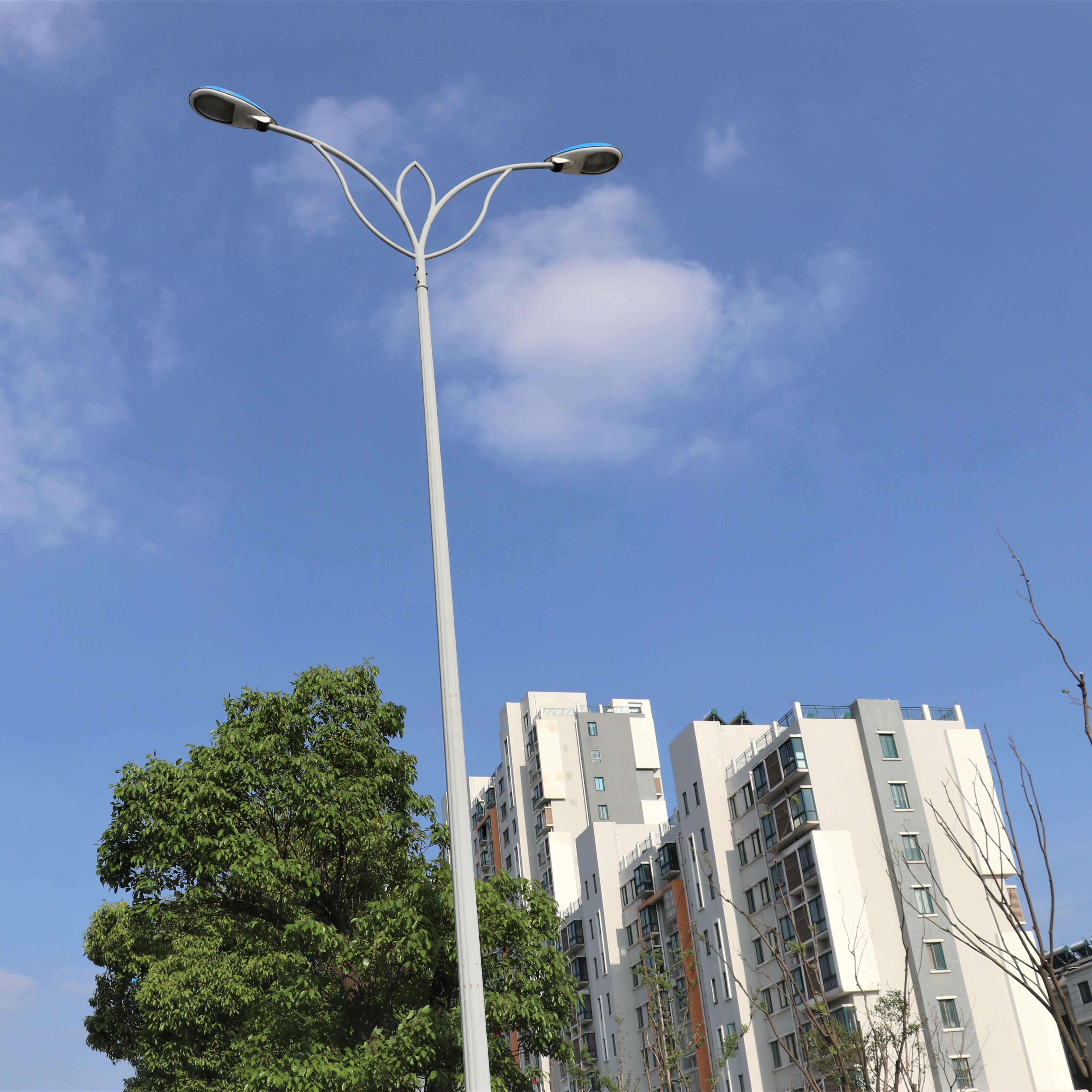 60W Outdoor Led Street Light Featured Image