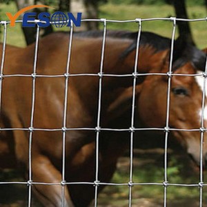 OEM/ODM Manufacturer Hinged Knot Cattle Fence – horse fence – Yeson