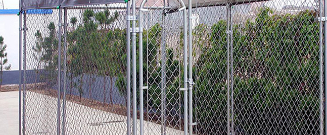 How to choose wire mesh fences