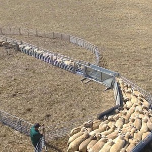 Factory Selling China Cattle Field Fence – YESON