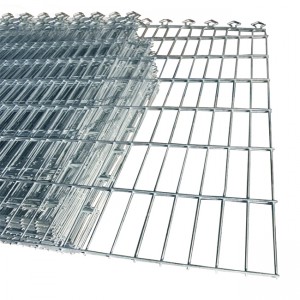 868 Double Wire Fence