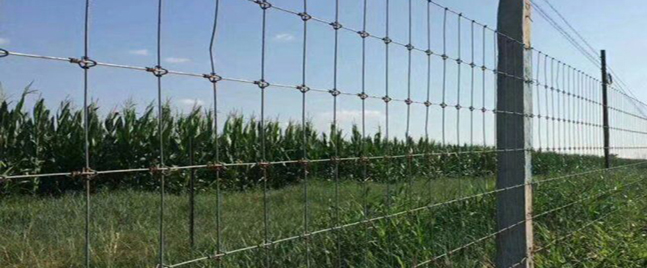 The main technical characteristics of grassland fence
