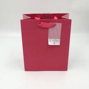 Small Gift Bags with Handles Gold Mini Gift Bag Birthday Weddings Christmas Holidays Paper bag