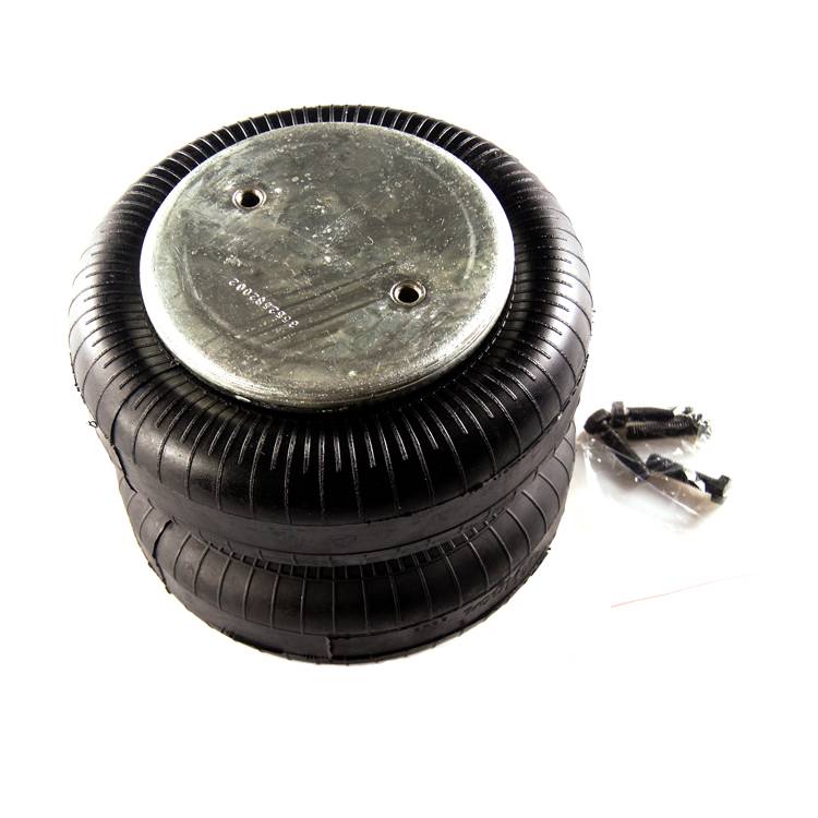 Hot Selling Hot Sale Customized Automotive Small Air Suspension Spring For Car W01-M58-6891