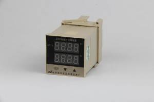 SNG  Double Time Control Intelligent Time Relay