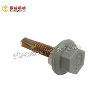 Manufacturer of Cross Flat Head -  Nylon Hex Washer Head Screw 1 – Zhencheng Machinery