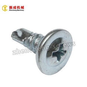 professional factory for Bolt Screws And Nut Set - Philip Truss Head Self Tapping And Self Drilling Screw 2 – Zhencheng Machinery