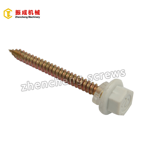 Factory wholesale Hex Head Screws M17 - Nylon Hex Washer Head Screw2 – Zhencheng Machinery