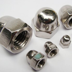 Stainless steel hex domed cap nut