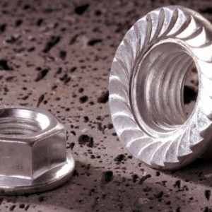 304 316 Stainless steel flange nut